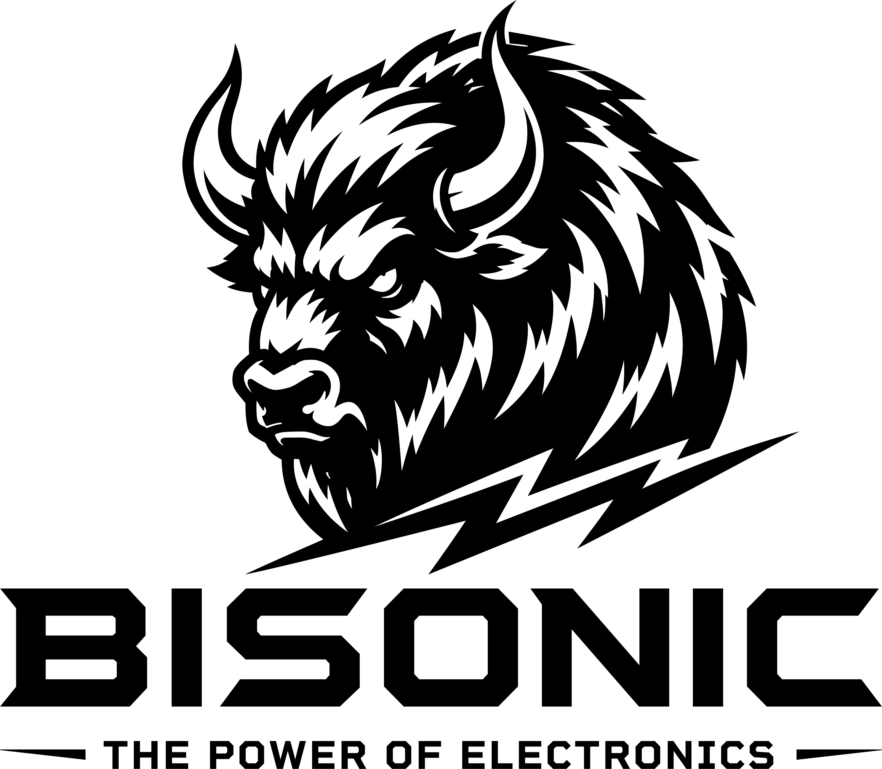 BISONIC